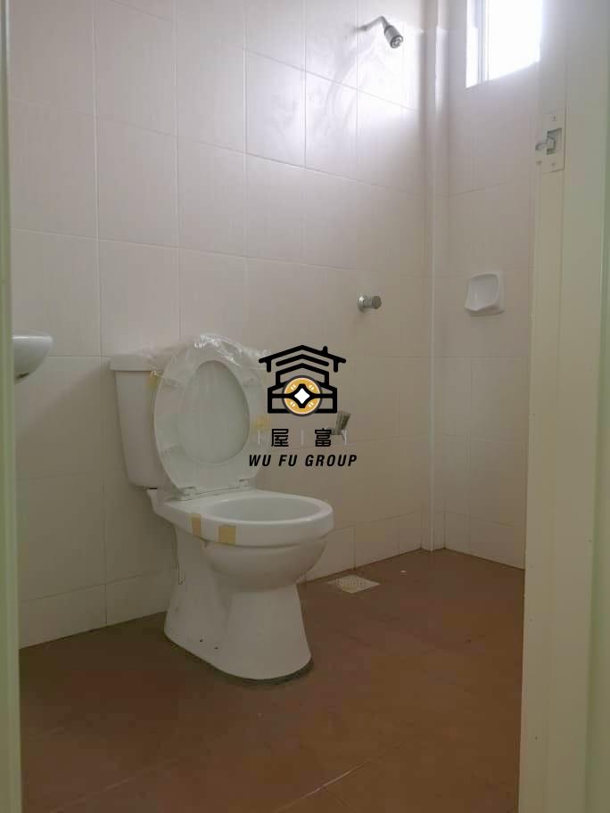 WhatsApp Image 2026-03-01 at 2.52